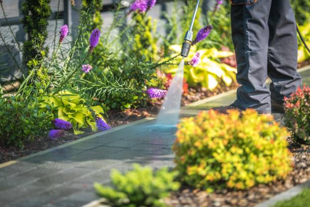 Best Post-Construction Pressure Washing  in Calcium, NY